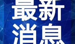 弹力果冻最新爆料视频,揭秘神秘视频背后的惊人真相！